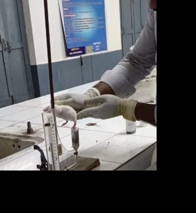 Laboratory research work