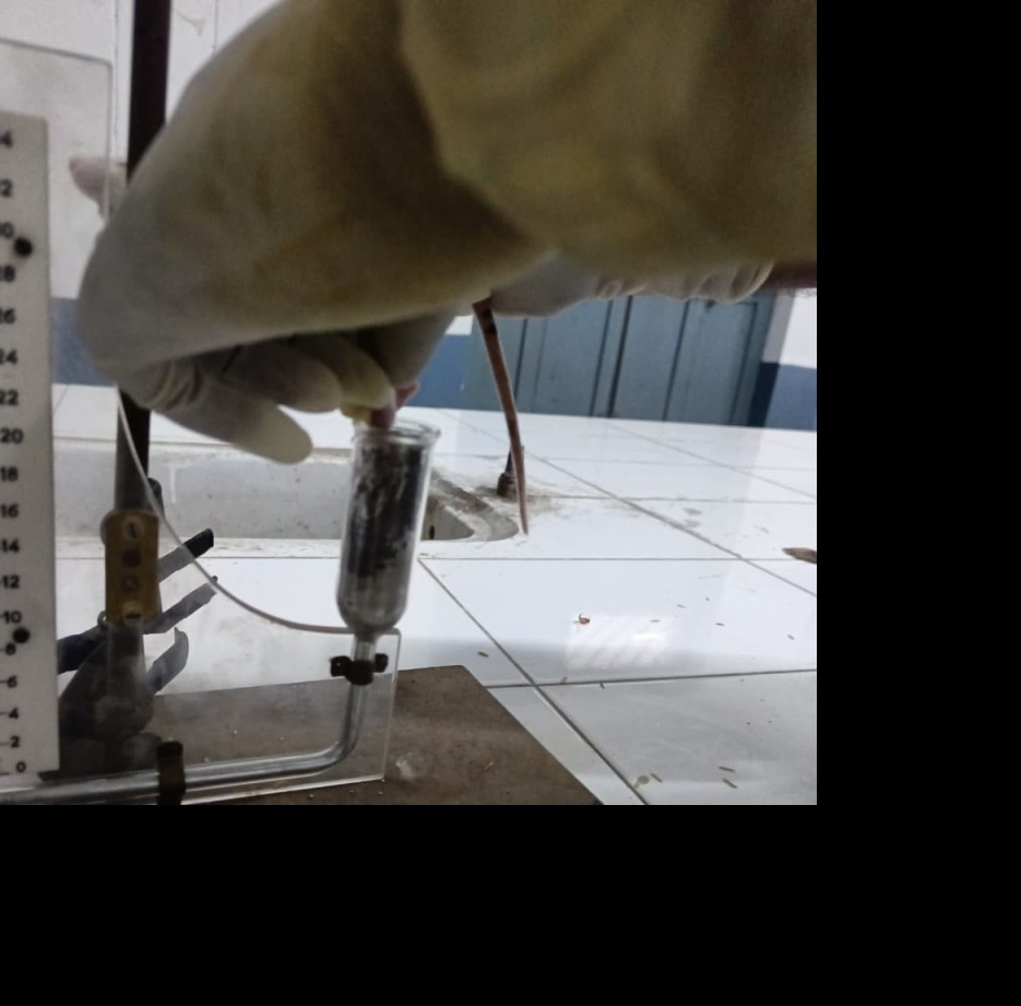 Experimental laboratory work