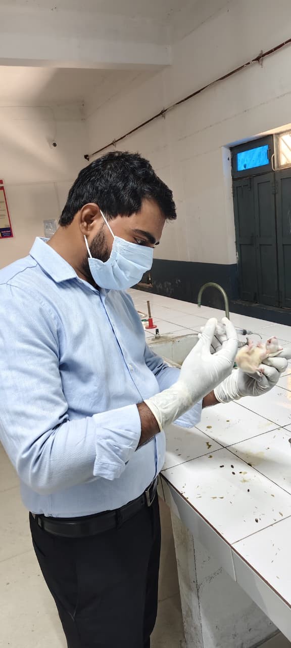 Laboratory research work